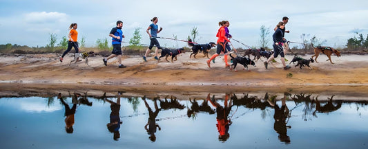 Unleashing the Joy of Canicross: Running with Your Dog