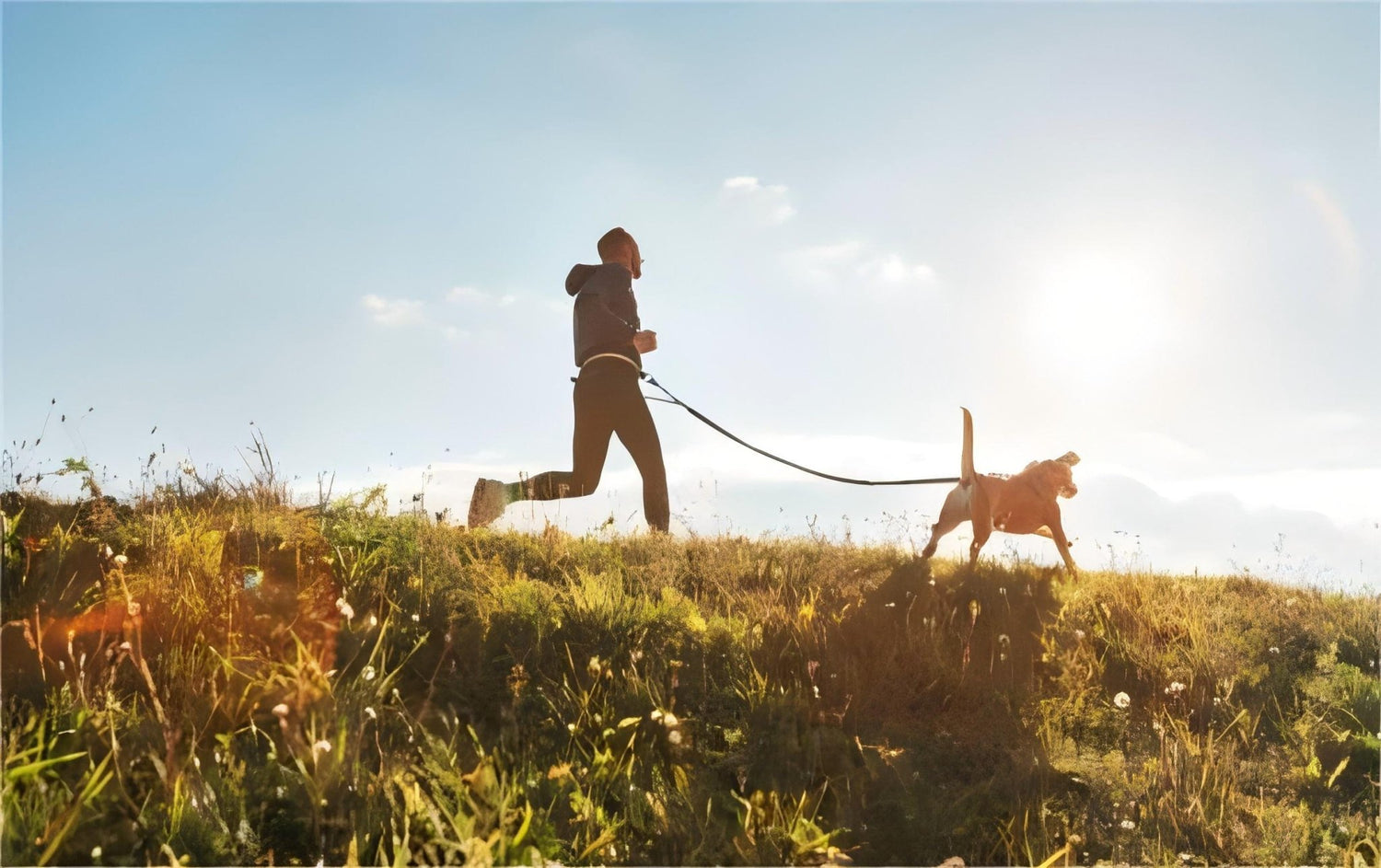 Running with your Dog - BPRunning