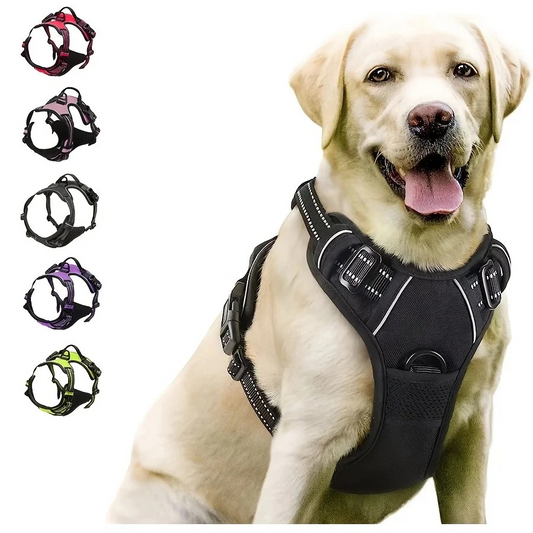 No-Pull Dog Harness with Dual Leash Clips