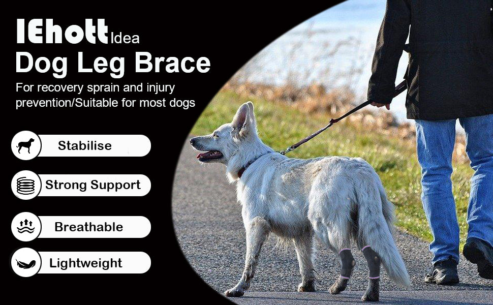 1 Pair Dog Rear Leg Brace for Joint Support and Recovery