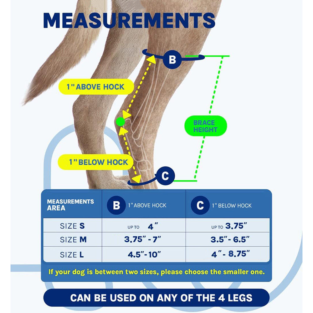 1 Pair Dog Rear Leg Brace for Joint Support and Recovery