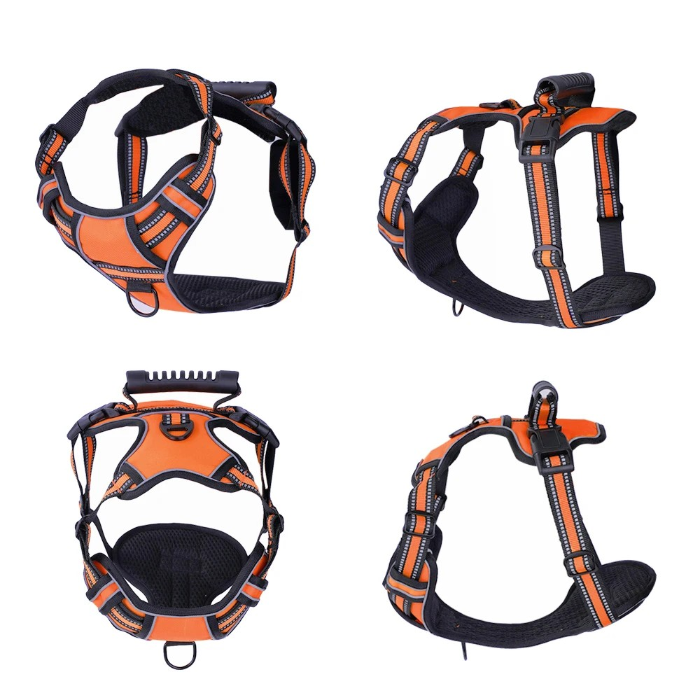 No-Pull Dog Harness with Dual Leash Clips