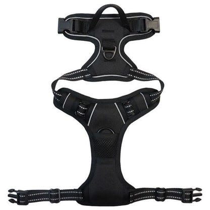 No-Pull Dog Harness with Dual Leash Clips