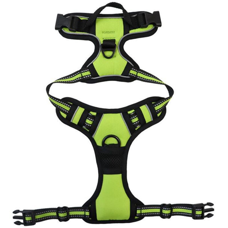 No-Pull Dog Harness with Dual Leash Clips