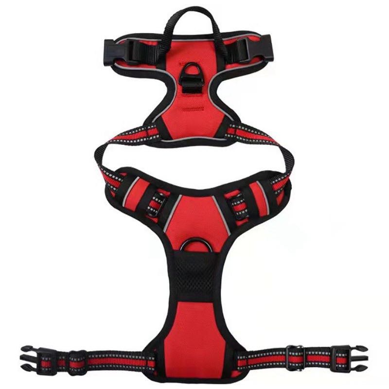 No-Pull Dog Harness with Dual Leash Clips