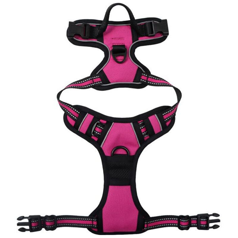 No-Pull Dog Harness with Dual Leash Clips