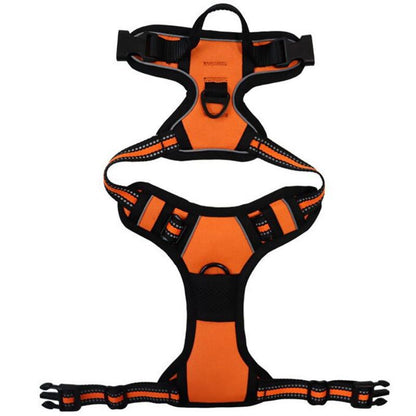 No-Pull Dog Harness with Dual Leash Clips