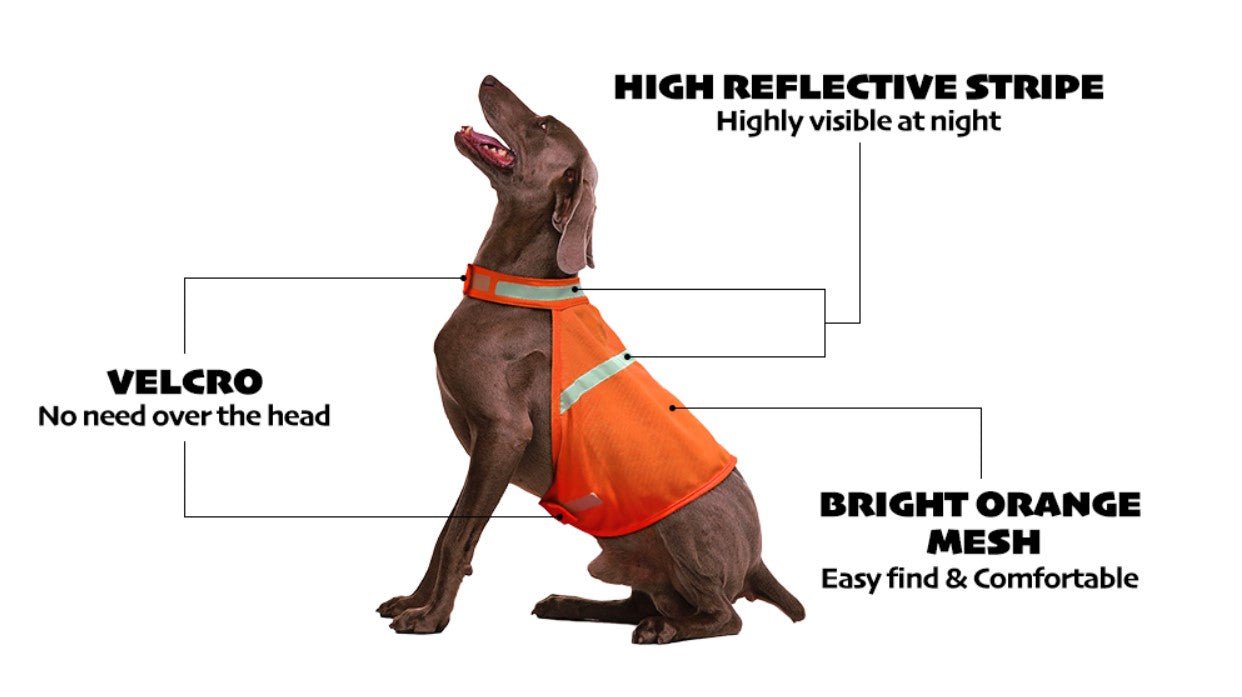 (2 Pack) High Visibility Reflective Dog Vest for Small to Large Dogs - BPRunning