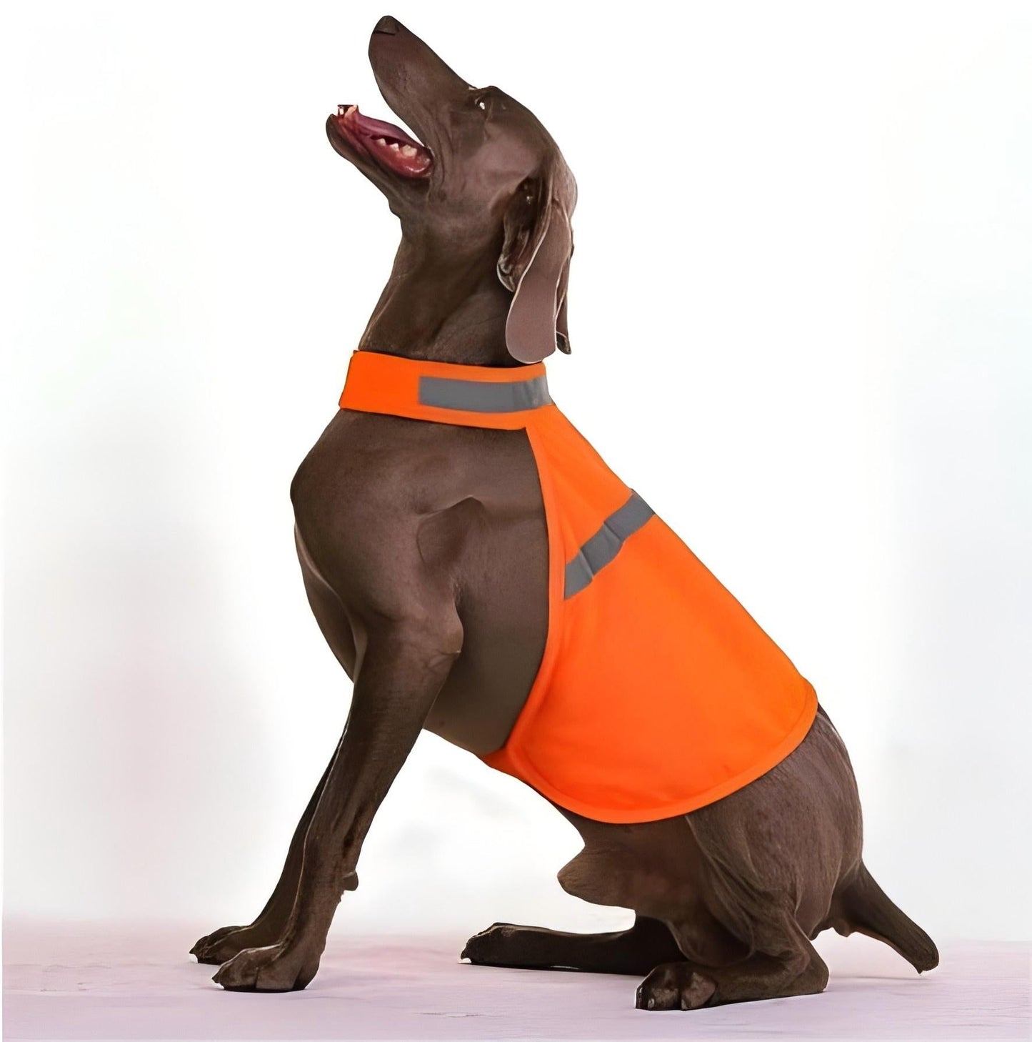 (2 Pack) High Visibility Reflective Dog Vest for Small to Large Dogs - BPRunning