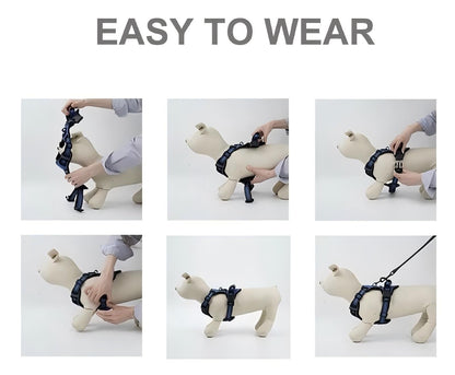 No-Pull Dog Harness with Dual Leash Clips