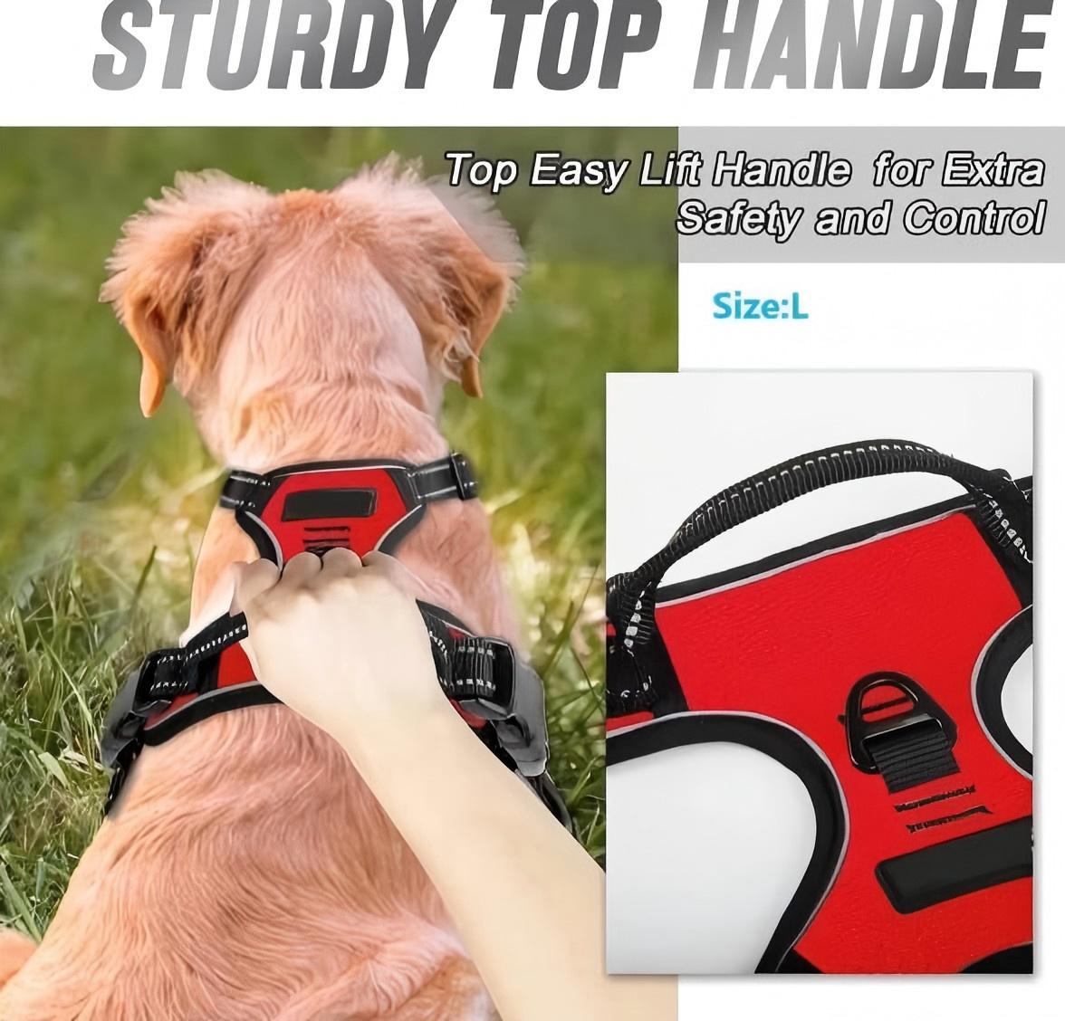 No-Pull Dog Harness with Dual Leash Clips