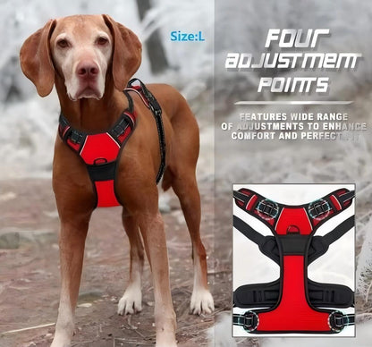 No-Pull Dog Harness with Dual Leash Clips