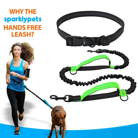 Hands-Free Dog Leash - Adjustable Bungee Waist Leash with Reflective Stitching - BPRunning