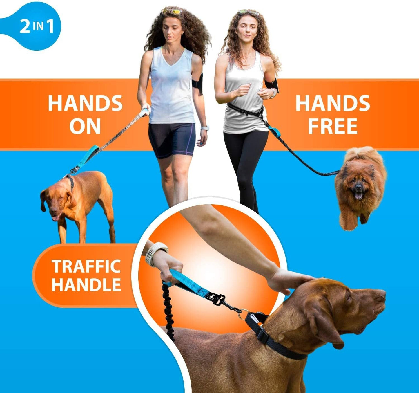 Hands-Free Dog Leash - Adjustable Bungee Waist Leash with Reflective Stitching - BPRunning